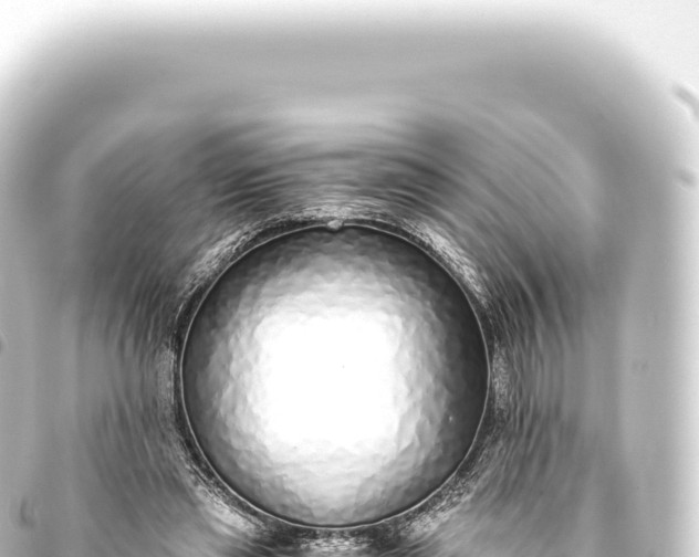 X0000093770445200710301209