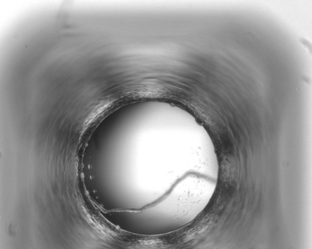 X0000093770446200710301209