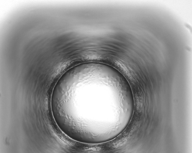 X0000093770447200710301209