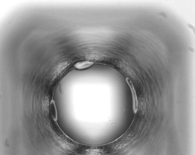 X0000093770448200710301209