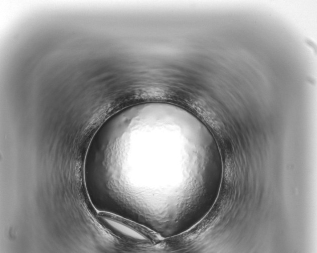 X0000093770449200710301209