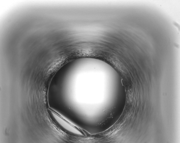 X0000093770450200710301209