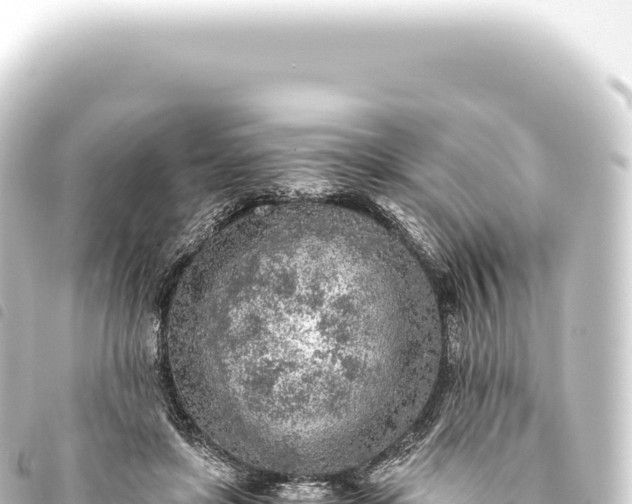 X0000093770451200710301209