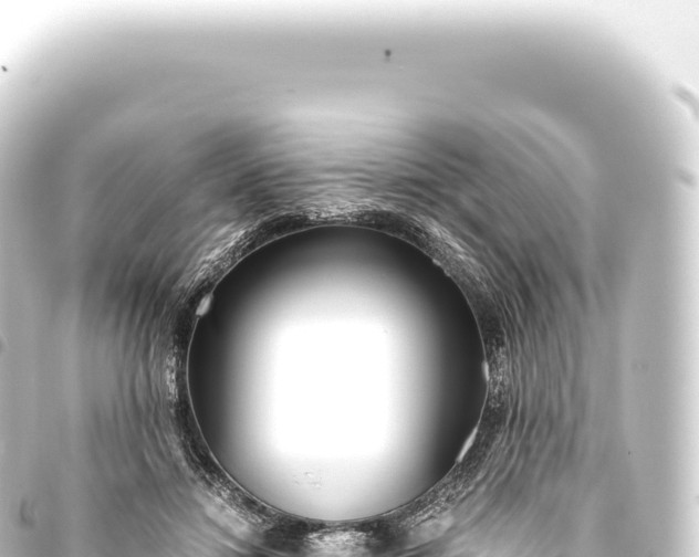 X0000093770452200710301209