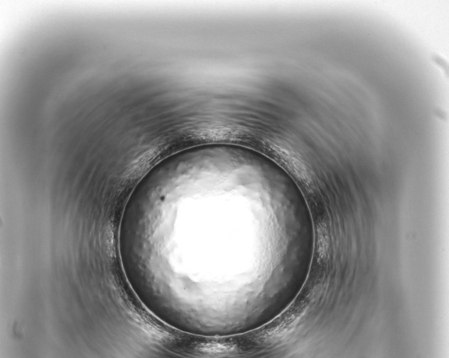 X0000093770453200710301209