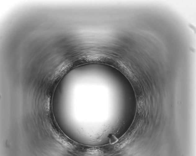 X0000093770454200710301209