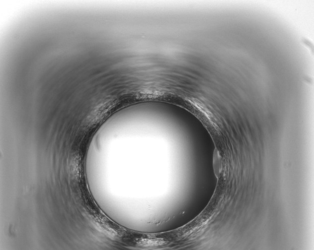 X0000093770455200710301209