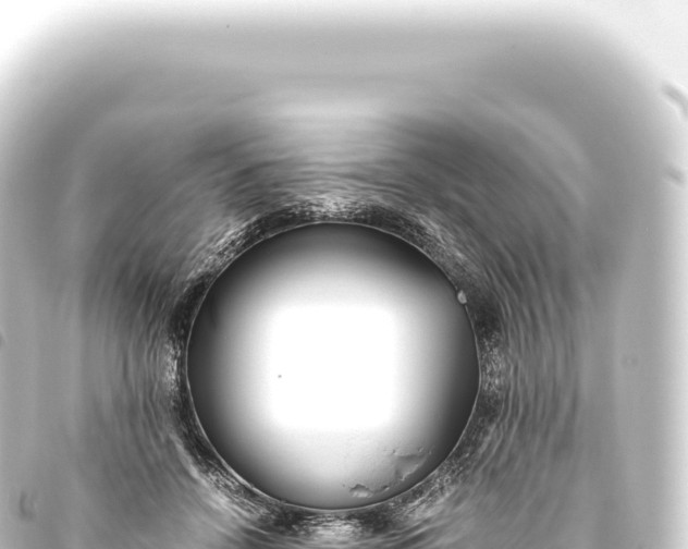 X0000093770456200710301209