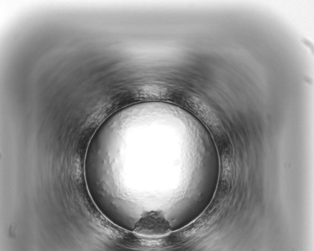 X0000093770457200710301209