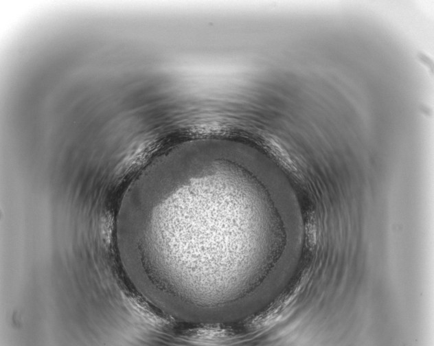 X0000093770458200710301209