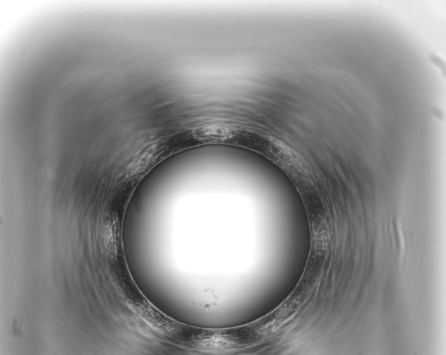 X0000093770460200710301209