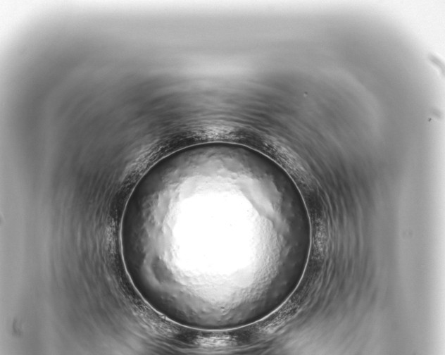 X0000093770461200710301209