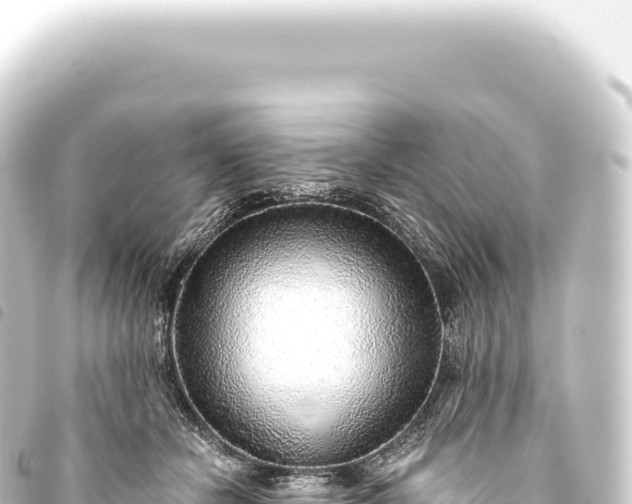 X0000093770462200710301209