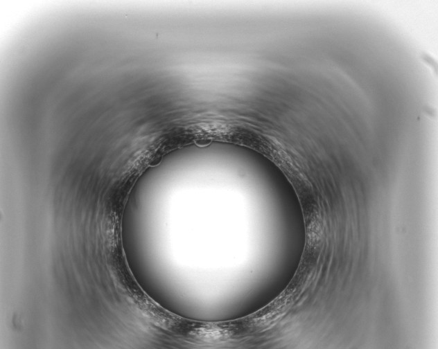 X0000093770464200710301209