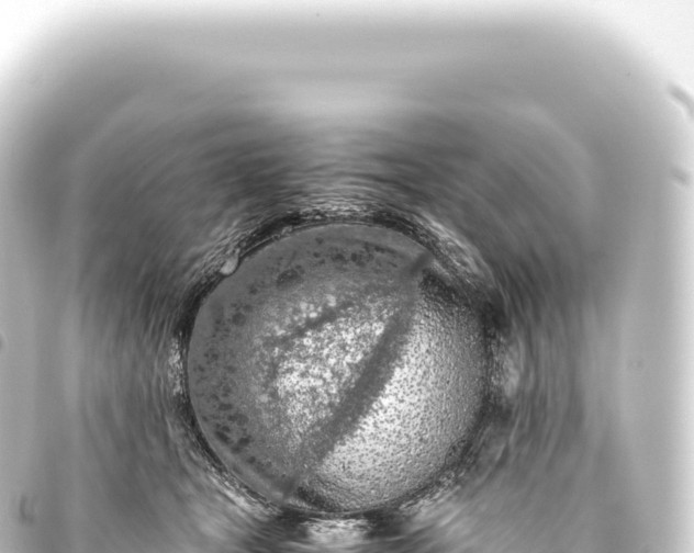 X0000093770465200710301209