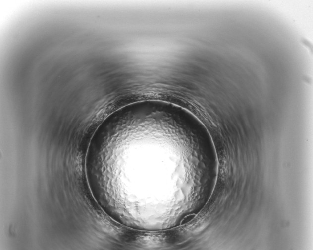 X0000093770466200710301209