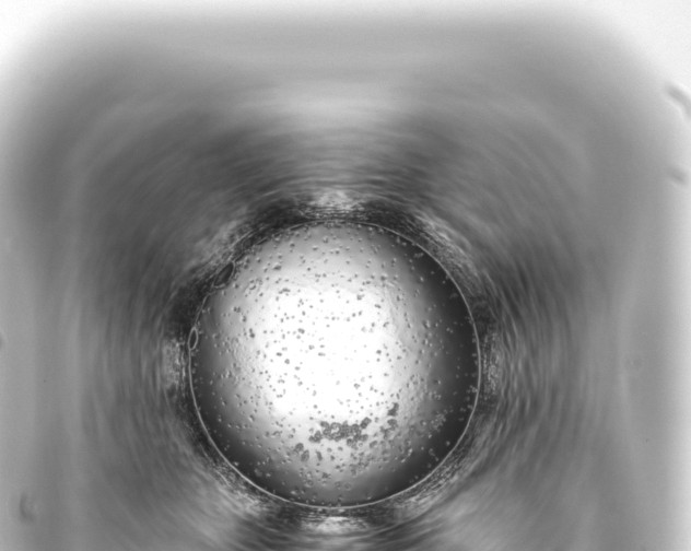 X0000093770467200710301209