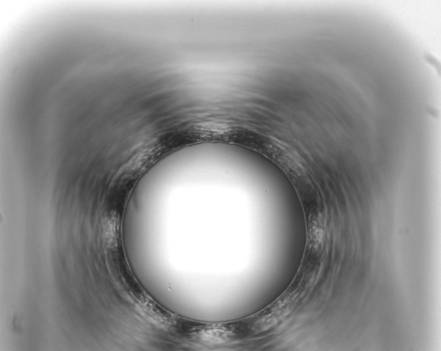 X0000093770468200710301209