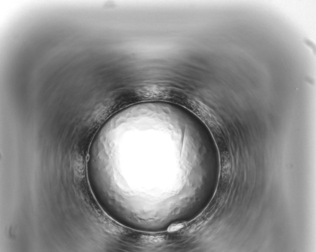 X0000093770469200710301209