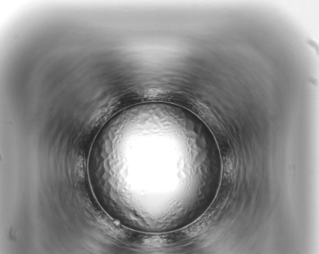 X0000093770470200710301209