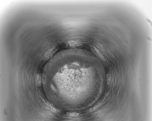 X0000093770471200710301209