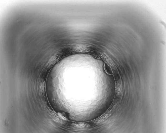 X0000093770473200710301209