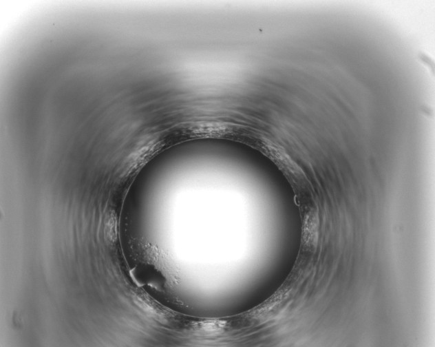 X0000093770474200710301209