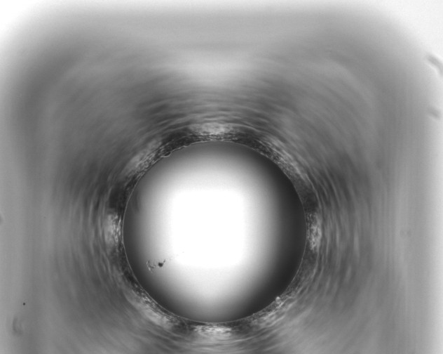 X0000093770476200710301209