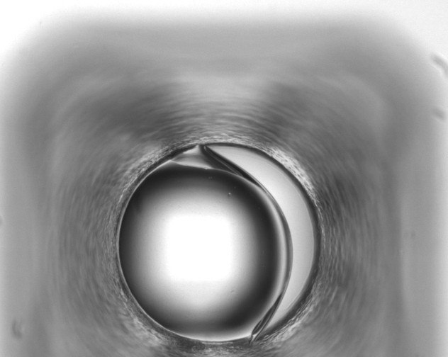 X0000093770481200710301209