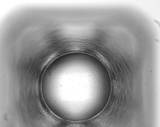 X0000093770482200710301209