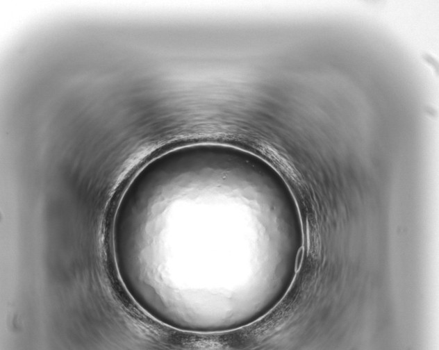 X0000093770483200710301209