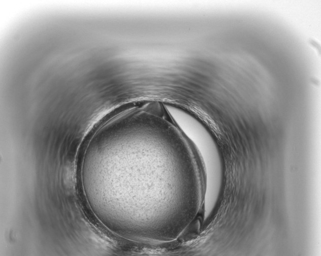 X0000093770484200710301209