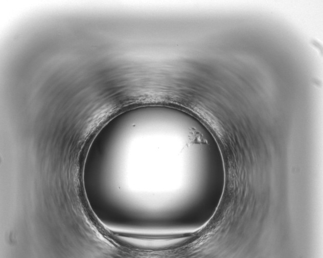 X0000093770485200710301209