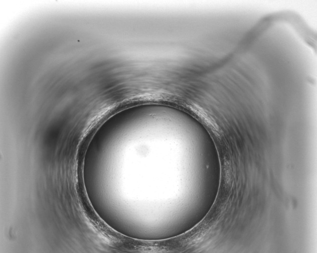 X0000093770486200710301209