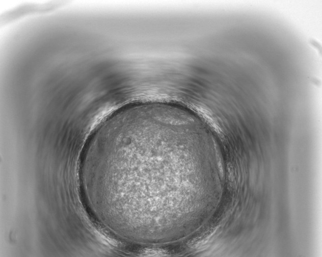 X0000093770487200710301209