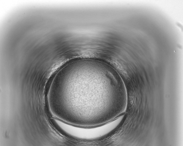 X0000093770488200710301209