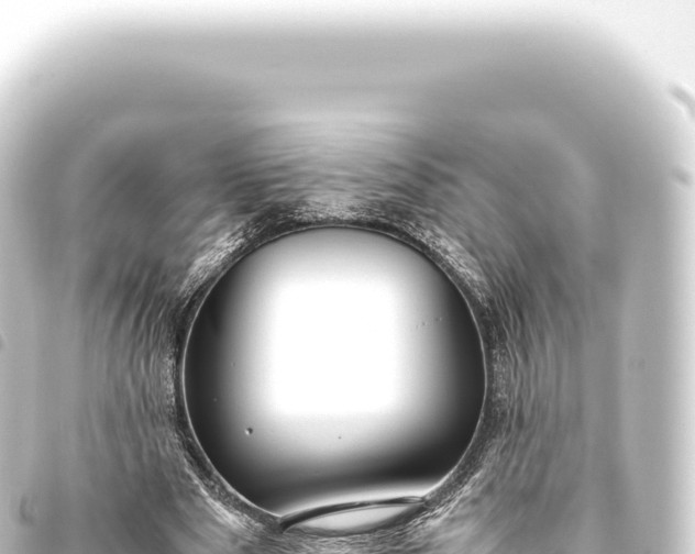 X0000093770489200710301209