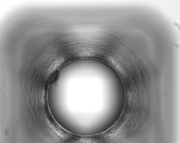 X0000093770490200710301209