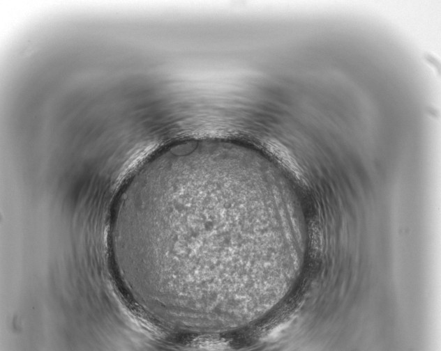 X0000093770491200710301209