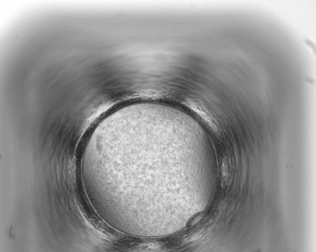 X0000093770492200710301209