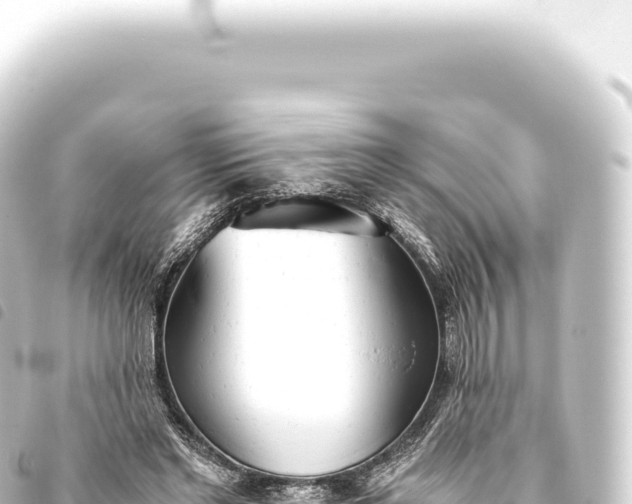 X0000093770493200710301209