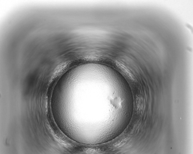 X0000093770494200710301209