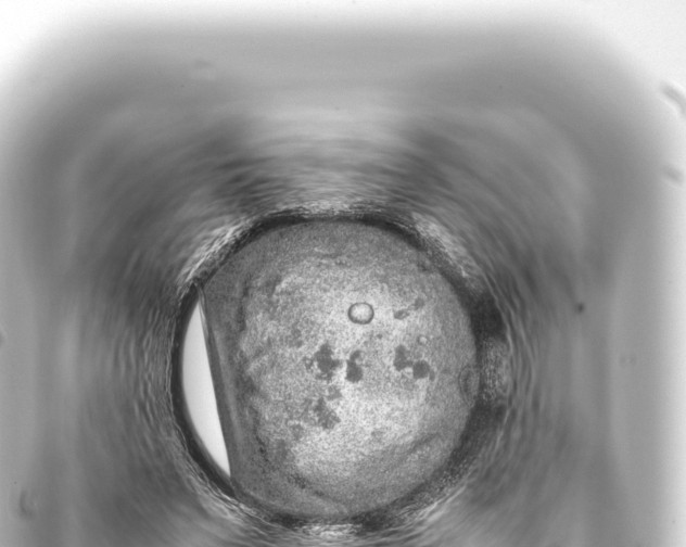 X0000093770495200710301209