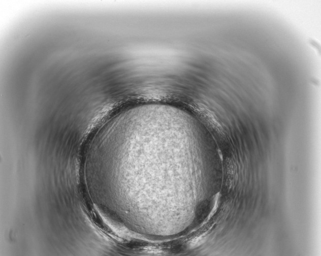 X0000093770496200710301209