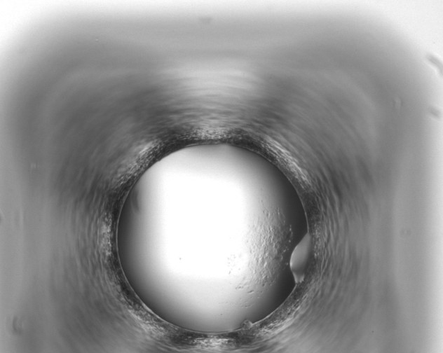 X0000093770497200710301208