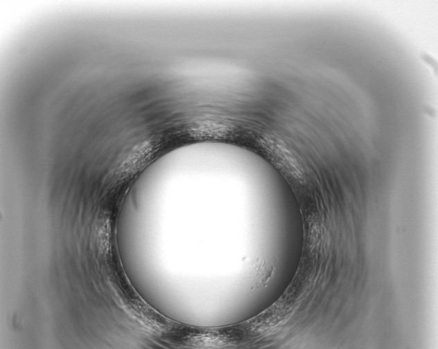 X0000093770498200710301208