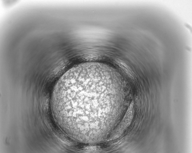 X0000093770499200710301208