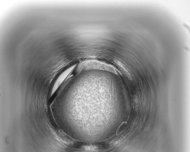 X0000093770500200710301208