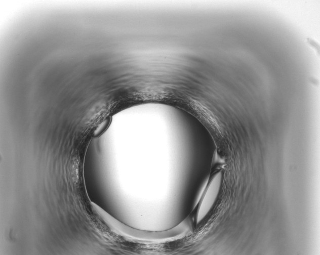 X0000093770501200710301208