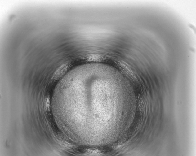 X0000093770502200710301208